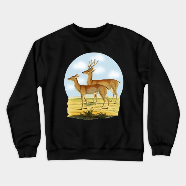 Deers  Illustration Crewneck Sweatshirt by Biophilia